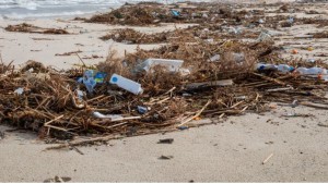 العاصمة: غدا حملة نظافة في شاطئ خير الدين