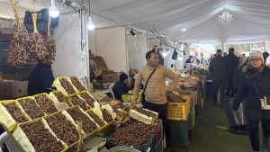 باجة: إقبال لافت على نقطة بيع التمور من المنتج إلى المستهلك