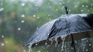 المرصد الوطني لسلامة المرور