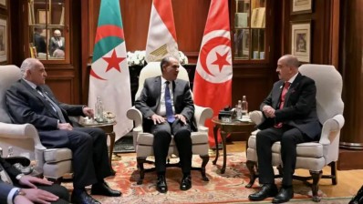 وزير الخارجية المصري يزور تونس للمشاركة في اجتماع ثلاثي حول ليبيا