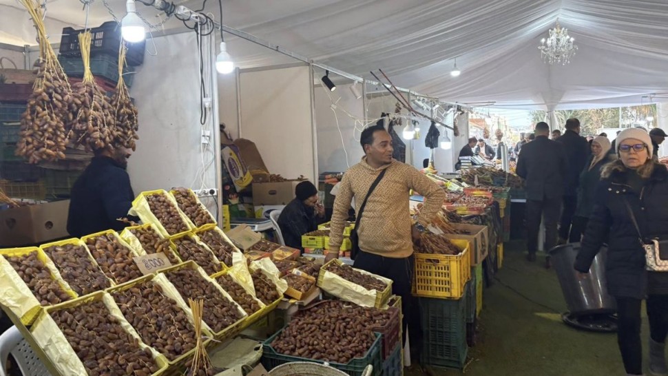 باجة: إقبال لافت على نقطة بيع التمور من المنتج إلى المستهلك