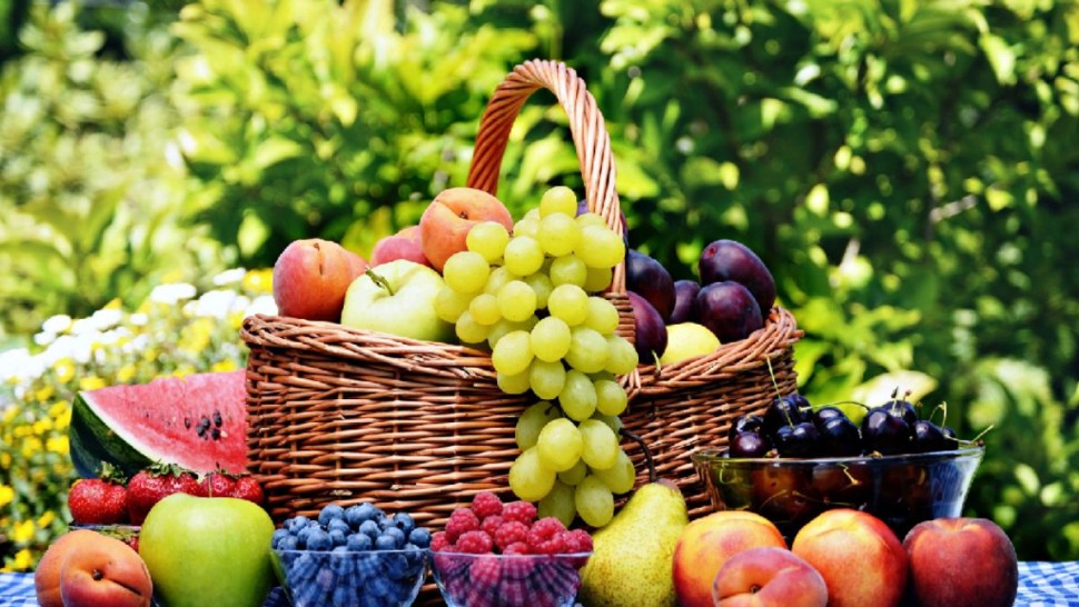 صادرات غلال تونس تجاوزت 148 مليون دينار خلال سنة 2025