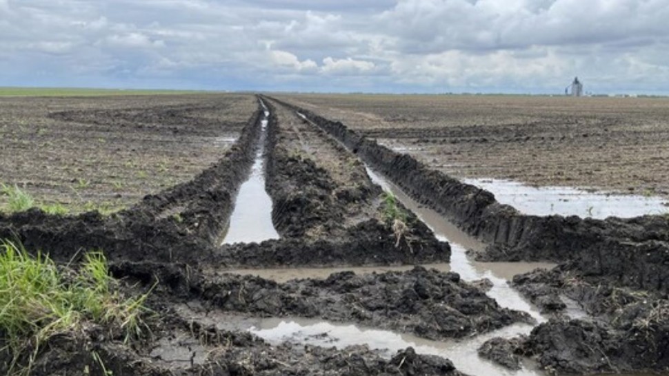 نابل :فرق فنية من وزارة الفلاحة تنطلق في معاينة الاضرار الناجمة عن الفيضانات بالمستغلات الفلاحية