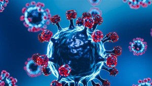 فيروس "نيباه" ما أعراضه وكيف يمكن الوقاية منه؟