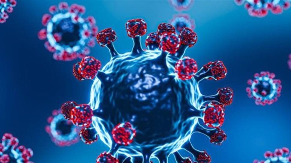 فيروس "نيباه" ما أعراضه وكيف يمكن الوقاية منه؟