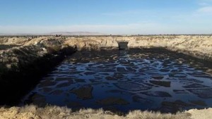 مندوبية الفلاحة بقفصة : معاصر الجهة تخلّف 46 ألف متر مكعّب من المرجين سنويا