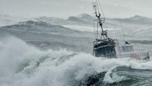 وكالة موانئ وتجهيزات الصيد البحري