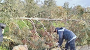 جندوبة : لجنة تفادي الكوارث تدعو لتأجيل التنقلات غير الضرورية بداية من السابعة مساء