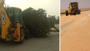 مدنين: إصابة امرأة وسقوط أشجار وانقطاع التيار الكهربائي جراء الرياح القوية