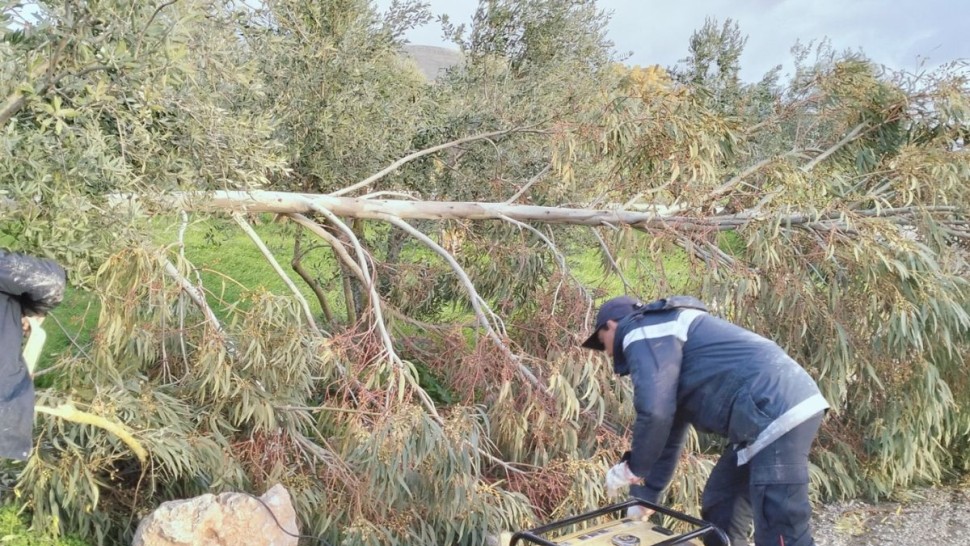 جندوبة : لجنة تفادي الكوارث تدعو لتأجيل التنقلات غير الضرورية بداية من السابعة مساء