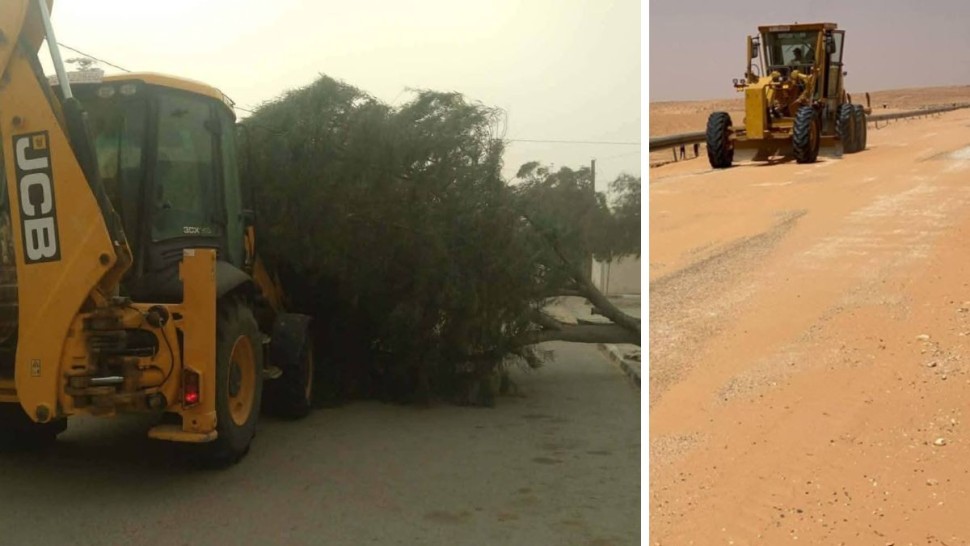 مدنين: إصابة امرأة وسقوط أشجار وانقطاع التيار الكهربائي جراء الرياح القوية