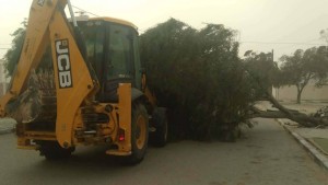 الحماية المدنية: اجلاء 3 عائلات والقيام بـ160 عملية إزاحة لأشجار وأعمدة كهربائية من الطرقات