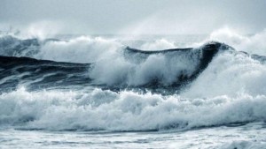 بنزرت : البحر يلفظ جثة آدمية متحللة بشاطئ سيدي منصور