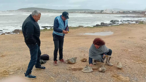 وزارة الثقافة: معاينة مواقع أثرية متضرّرة جرّاء الانجرافات بعدد من الولايات