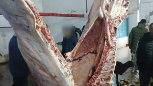 منزل بورقيبة: حجز عجل مذبوح مصاب بالسل بالمسلخ البلدي