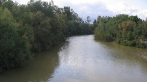 والي منّوبة يحذّر من الاقتراب من ضفاف الأودية