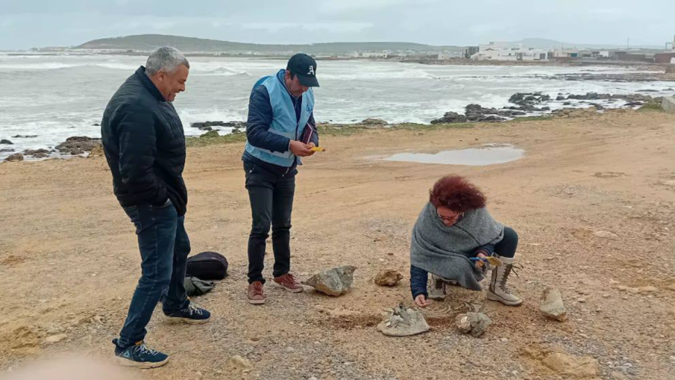 وزارة الثقافة: معاينة مواقع أثرية متضرّرة جرّاء الانجرافات بعدد من الولايات