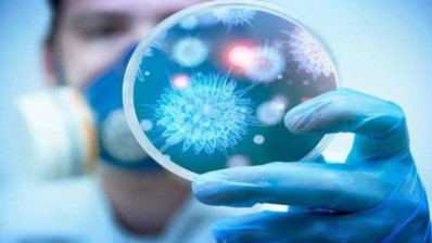 عميد البياطرة: 60 % من الأمراض الجرثومية التي تصيب الإنسان منقولة من الحيوانات