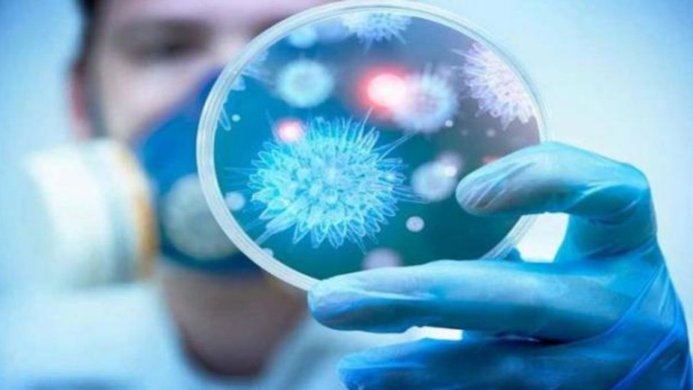 عميد البياطرة: 60 % من الأمراض الجرثومية التي تصيب الإنسان منقولة من الحيوانات