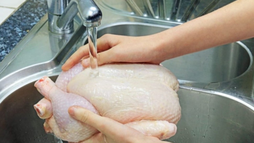 مختصّة : غسل الدجاج والبيض يتسبب في انتشار بكتيريا السالمونيلا الخطيرة