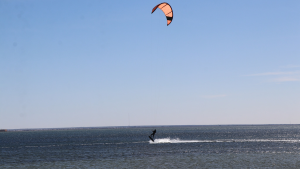 اطلاق مبادرة حماية الشريط الساحلي