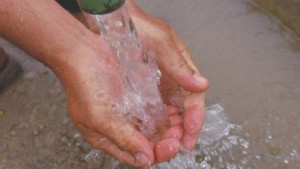 حسين الرّحيلي : حوكمة المياه وترشيد استهلاكها في الفلاحة أولوية قصوى