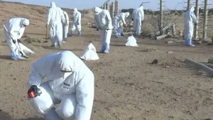 الجزائر تطلق أول عملية تطهير لموقع تفجيرات نووية فرنسية في تمنراست