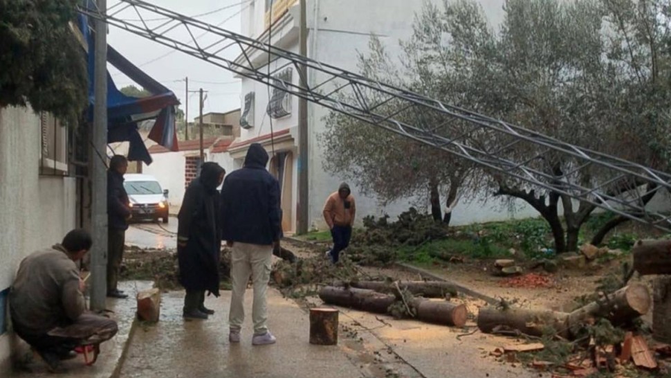 باجة: سقوط أعمدة كهربائية وأشجار بمعتمدية عمدون بسبب الرياح