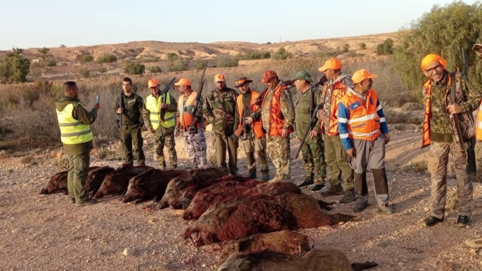 حملة خنازير