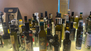 تونس تفوز بالمركز الأول في مسابقة الأهرام الدولية لزيت الزيتون بـ 46 ميدالية ذهبية