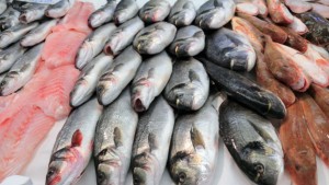 منتوجات الصيد البحري