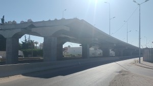 القاصة الحزامية