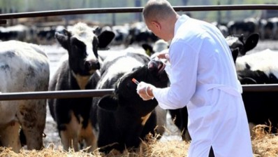 إطلاق اعتماد تطبيقة رقمية للإبلاغ الآني عن الأمراض الحيوانية