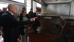 سعيّد: كل الجرائم والصفقات المشبوهة في شركة اللحوم موثّقة