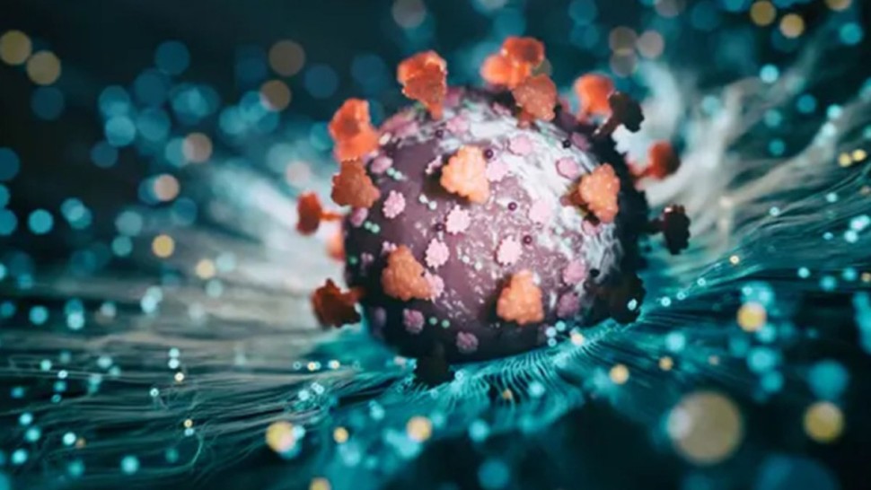 علماء يطورون أجساما مضادة واعدة للوقاية من فيروس إبستاين بار