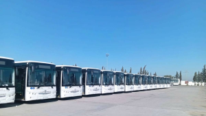 بنزرت: شركة النقل تتسلّم 23 حافلة مزدوجة جديدة