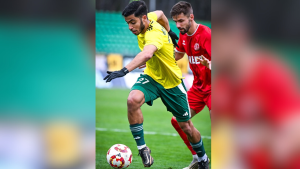 منتصر التريكي