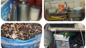 بنزرت: حجز 153 كلغ من المواد الغذائية وإقرار غلق محلين خلال حملة رقابة