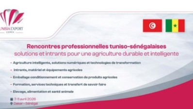 أفريل المقبل: بعثة أعمال إلى داكار لتطوير الشراكة مع السنغال