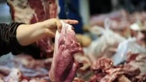 قبلي: حجز لحوم وأسماك متعفنة