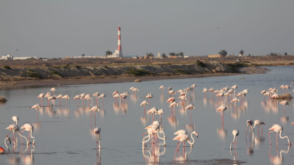 لا يمكن لأي مشروع وطني أن ينجح دون وضع الجنوب في صلب أولوياته، لأن مستقبل تونس لا يعتمد فقط على جزء من أراضيها وسكانها، بل على مجمل مواردها البشرية والطبيعية.
