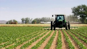 خلال 2025: المصادقة على استثمارات فلاحية خاصة بحوالي 548 مليون دينار