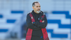 فتحي العبيدي