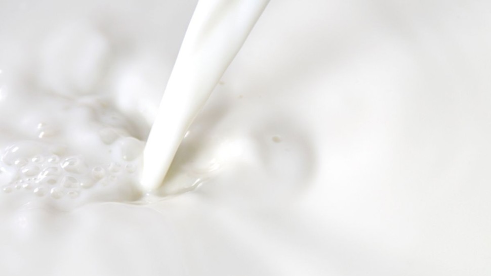 مدنين: حجز ألبان بعد تذويبها من التجميد داخل محل تجاري