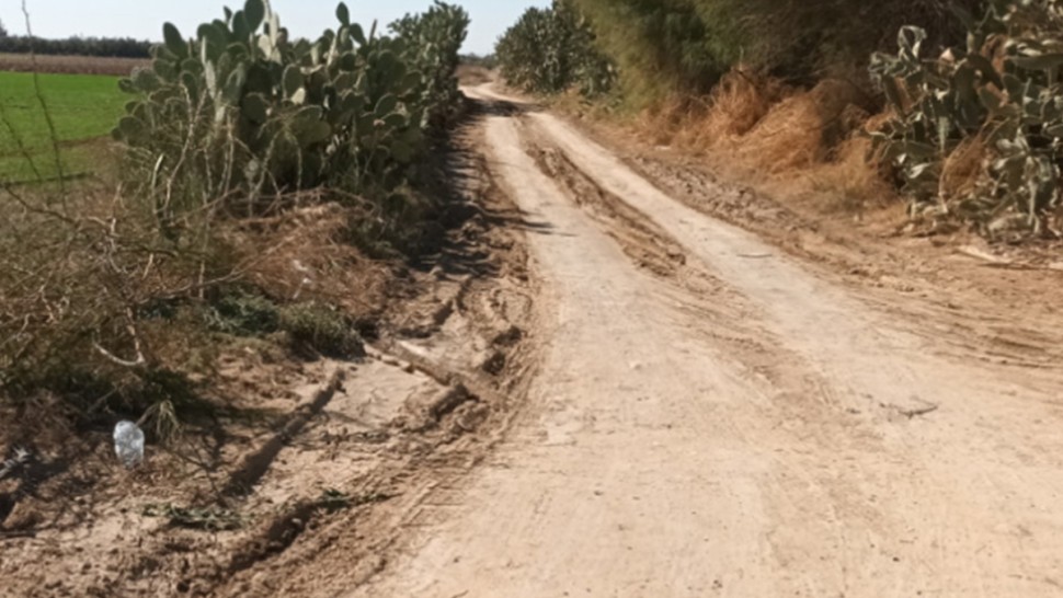 قفصة: امضاء صفقة تهيئة مسالك فلاحية بزانوش