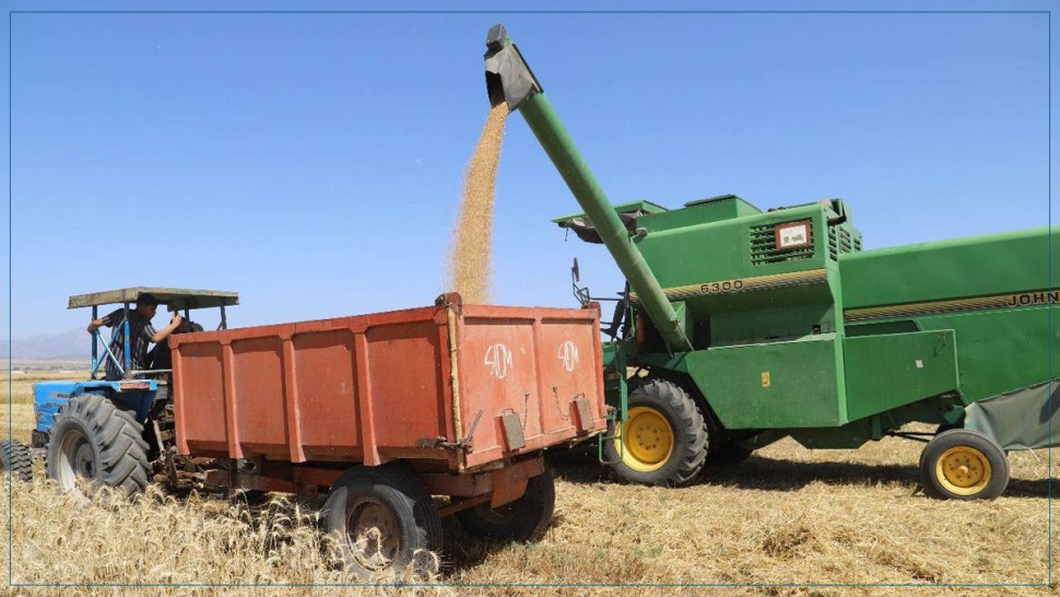 وزارة الفلاحة : يتم تحديد أسعار الحبوب عند الاستعداد للحصاد