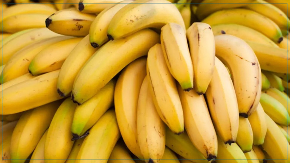 من بينها 53 طنا من الموز.. الديوانة تحجز مواد مختلفة منذ بداية رمضان