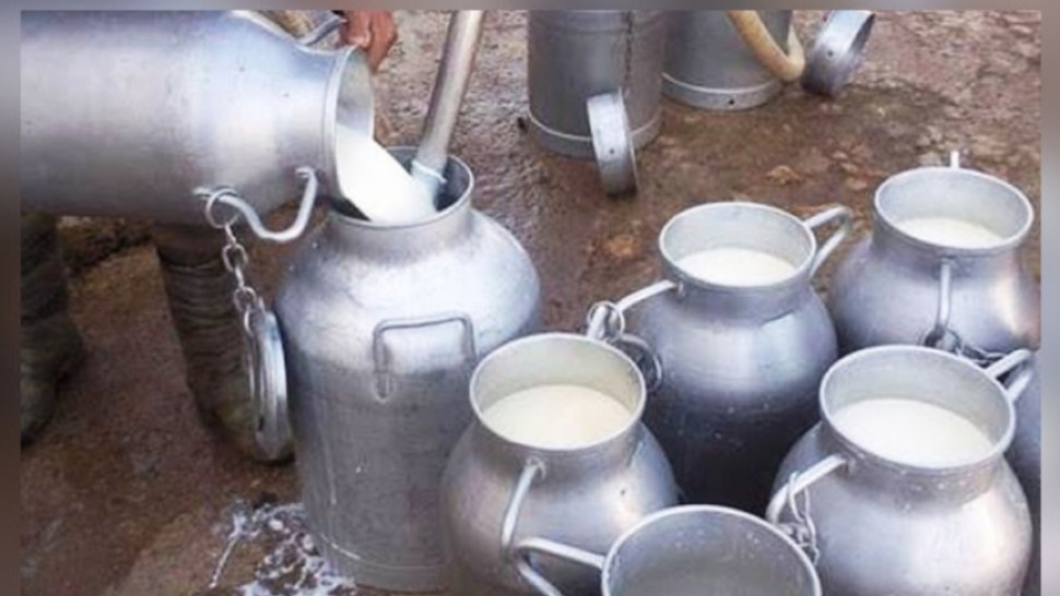 الحليب الطازج