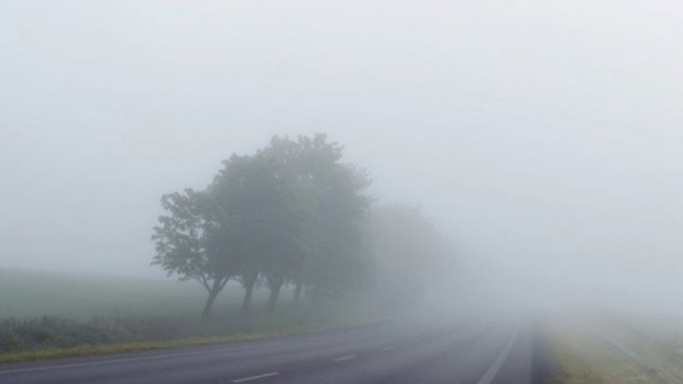 نشرة متابعة : ضباب يساهم في انخفاض مدى الرؤية