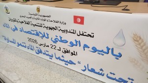 القيروان: التوجه نحو التعويل على الزراعات البديلة والحد من المساحات المستنزفة للموائد المائية